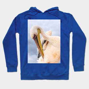 Pelican. Hoodie